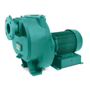 Swimming Pool Pumps